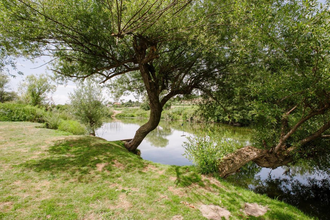 Traditional Houses Korana River Карловац Экстерьер фото